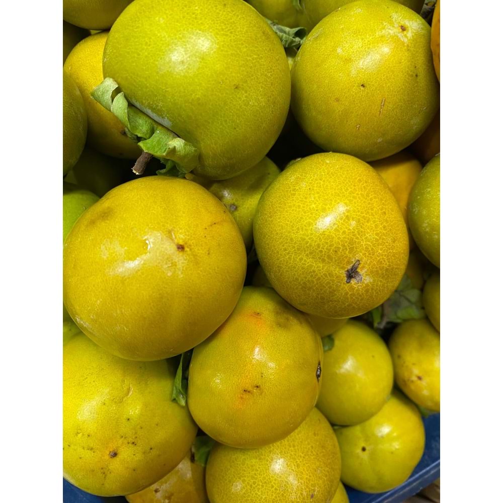 Hatay Cennet Hurması(2 KG)