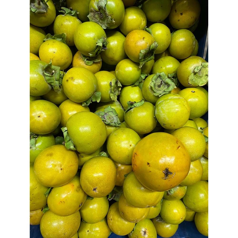 Hatay Cennet Hurması(2 KG)