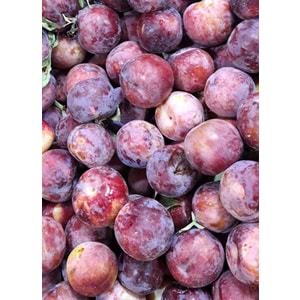 Hatay Can Eriği (1 kg)